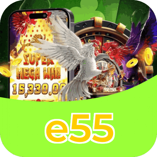 Cadastro e55