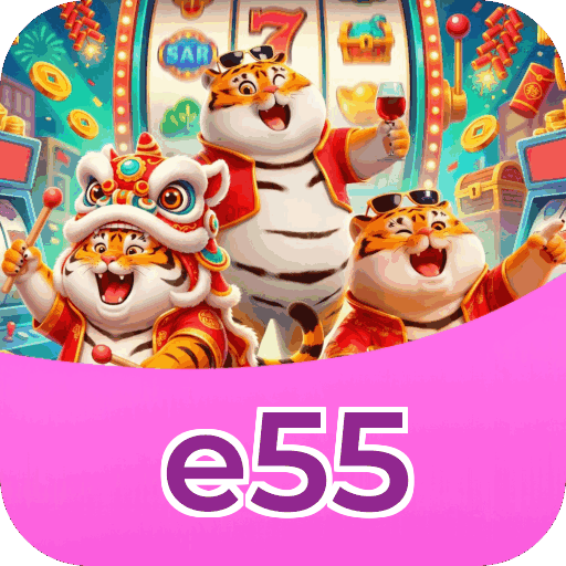 Interface e55