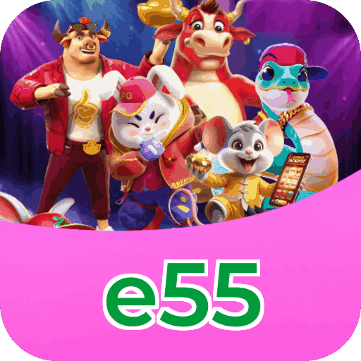 Métodos de pagamento aceitos na e55